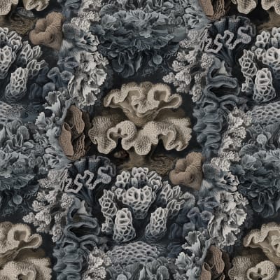 Aquila, Teal pattern image