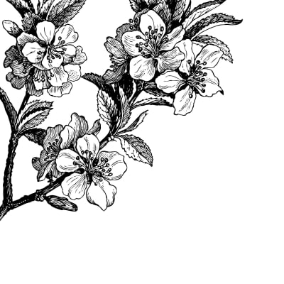 Springtime, black&white pattern image