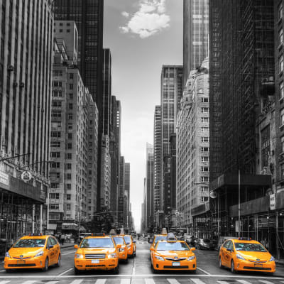 N.Y. Cab pattern image