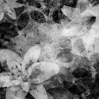 Garden of Dreams, black & white pattern image