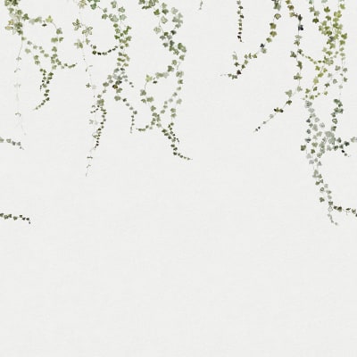 Aralia moss green pattern image