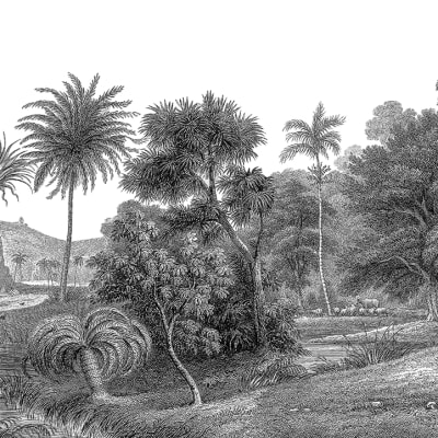 Jungle Land pattern image