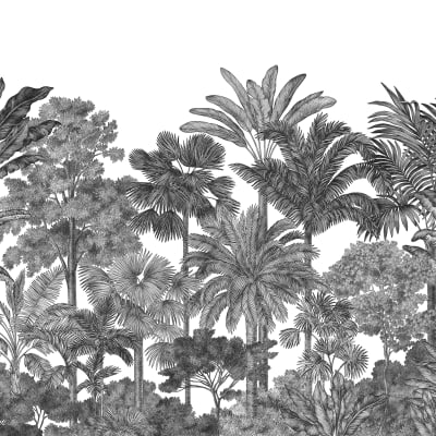 Tropical Bellewood, Graphite pattern image