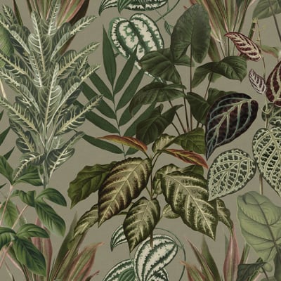 Mischievous Jungle Sand - Rebel Walls