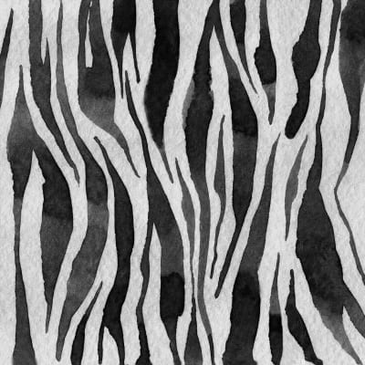 Zebra Stripes, Graphite pattern image