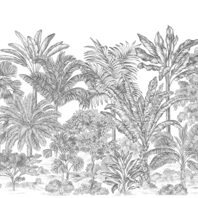 Tropical Bellewood, Frost pattern image