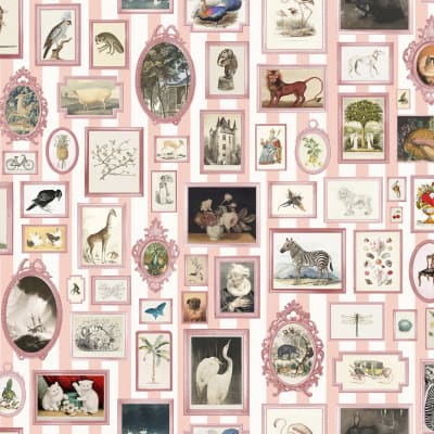 Vintage Frames, Pink pattern image