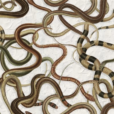 Snakey, Graphite pattern image