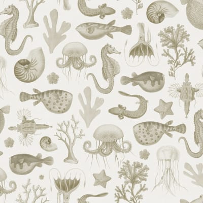 Sea Life, Sand pattern image