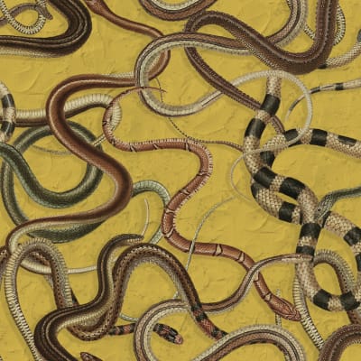 Snakey, Yellow pattern image