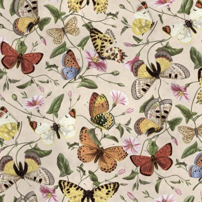 Butterflies, Color pattern image
