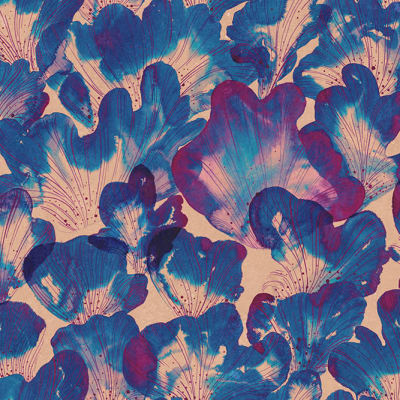 Corals, Blue pattern image