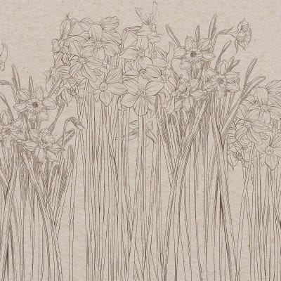 Daffodil, Beige pattern image