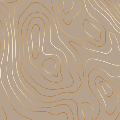 Topographic, Beige pattern image