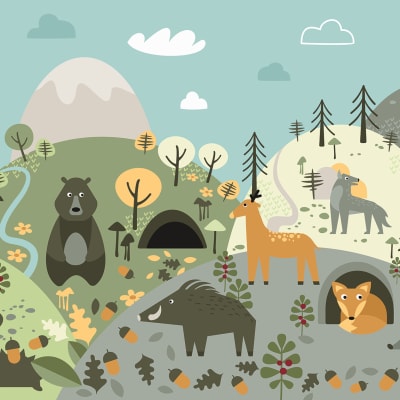 Forest Wildlife, Colorful pattern image