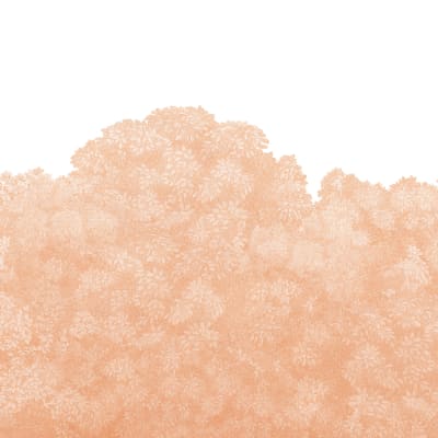 Belle Buisson, Peach Fuzz  pattern image