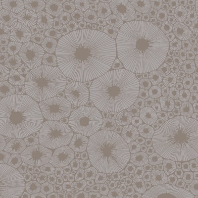 Bold Coral, Gray pattern image
