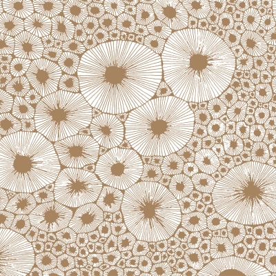 Bold Coral, Brown pattern image