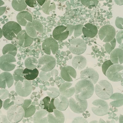 Water Lilies, Light Green pattern image