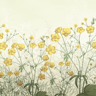 Vintage Buttercups, Yellow pattern image