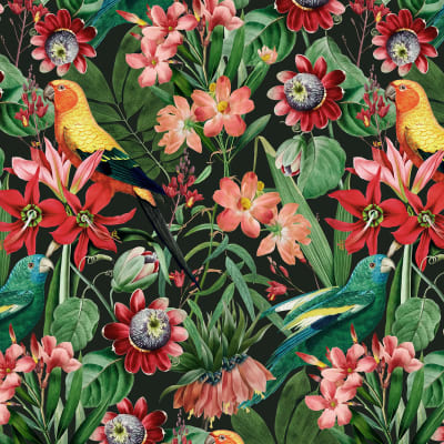 Parakeet pattern image