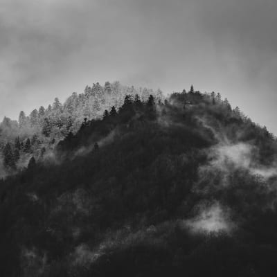 Foggy Mountain, Black & White pattern image