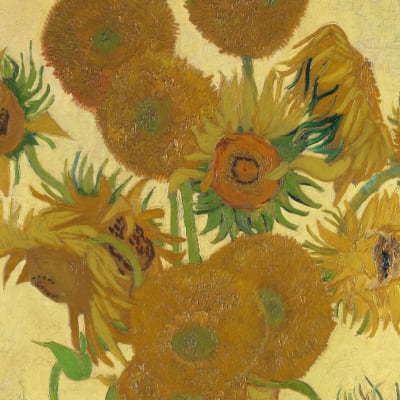 Sunflowers pattern image