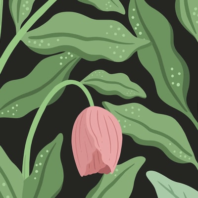 Cool Flora, Black & Pink pattern image