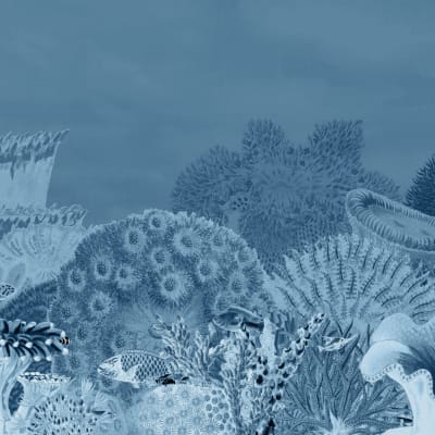 Reef Navy pattern image