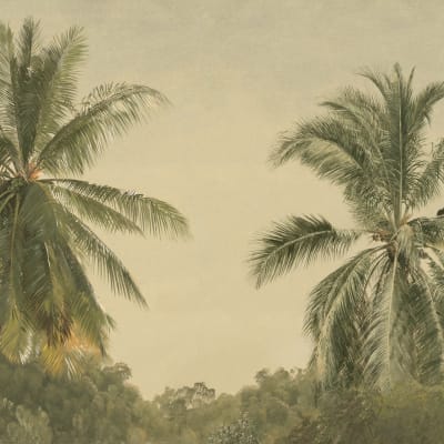 Zamia pattern image