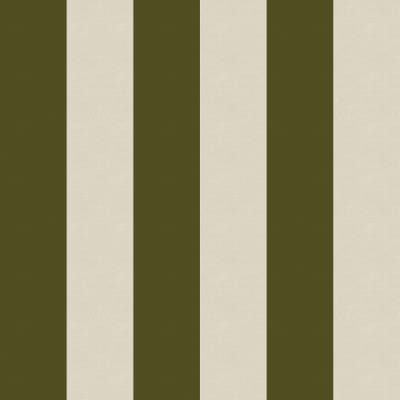 Bold Stripes, Green pattern image