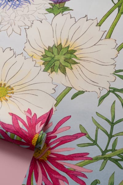 Cosmos