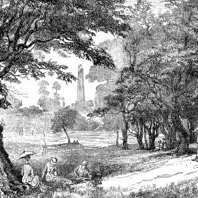 Big Toile pattern image