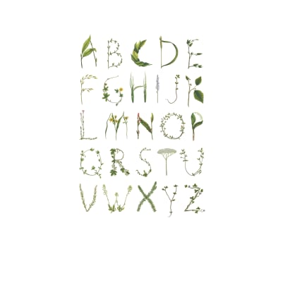 ABC for the spelling bee pattern image