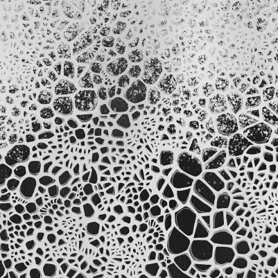 The Nest pattern image