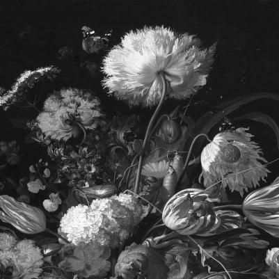 Bold Bouquet, Black pattern image