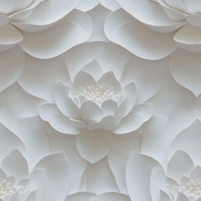 Lotus Dream, White pattern image