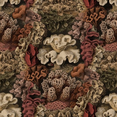 Aquila, Rust pattern image