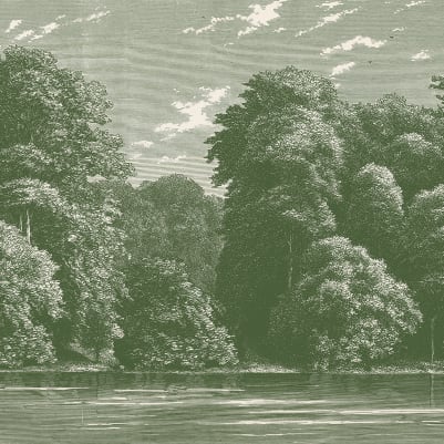 Spring Season, Green pattern image