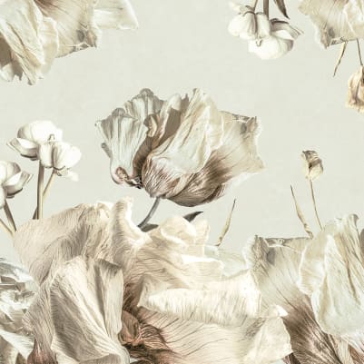 Dried Bouquet, Light pattern image