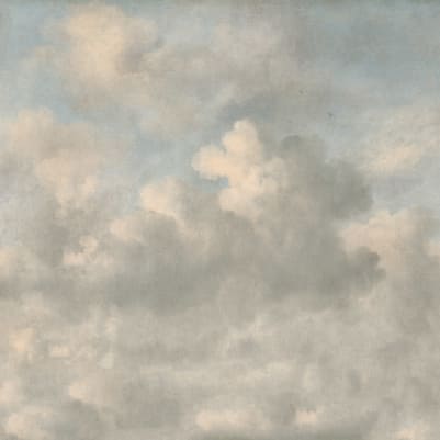 sky wallpaper b&q