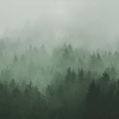 Cloudy Forest, Green pattern image