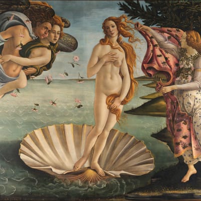 Venus pattern image
