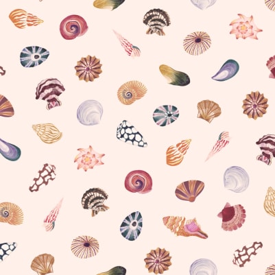 Shore pattern image
