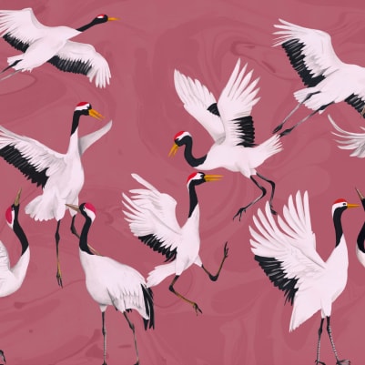Tancho Pink pattern image