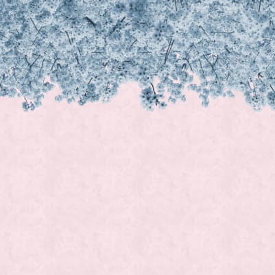 Hanami pattern image