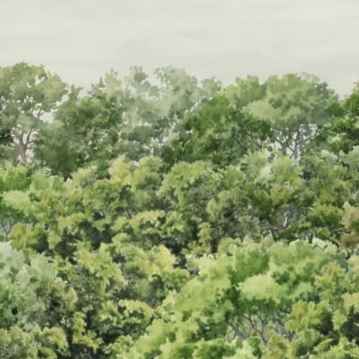 Buttonwood Green pattern image