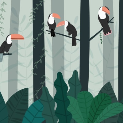 Toco pattern image