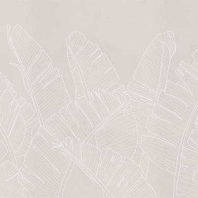 Musa pattern image