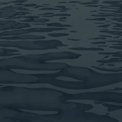 Ripple Navy pattern image